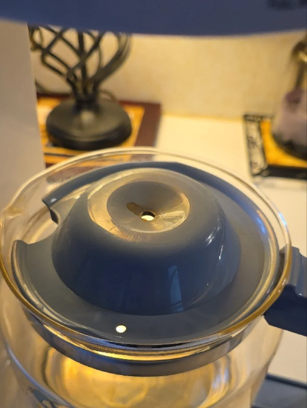 RARE Proctor-Silex Marmalade Goose Coffee Maker